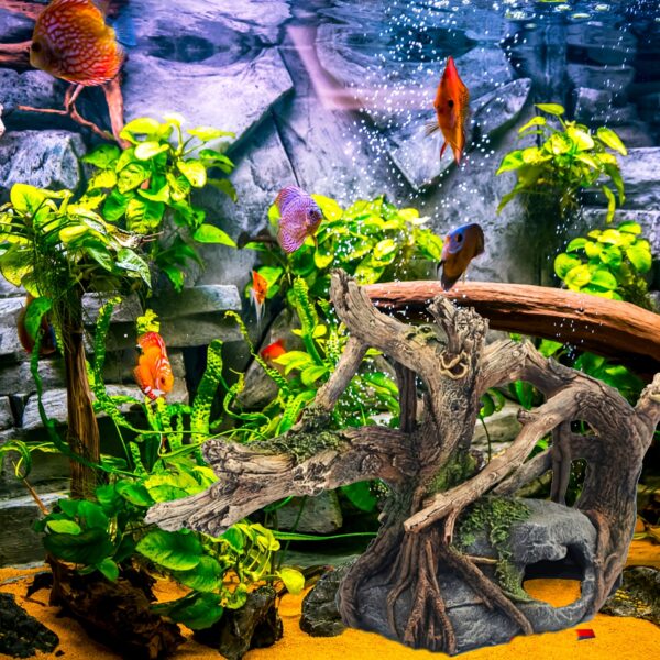 Harz Aquarium Dekoration Natürliche Baumwurzeln aus Kunstharz – Bild 15