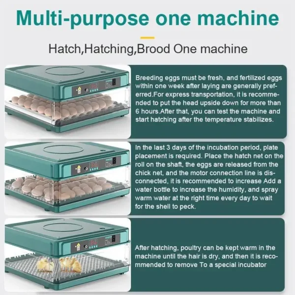 Vollautomatischer Smart Inkubator Intelligente Brutmaschine mit Wasser- und Temperaturkontrolle – Bild 15