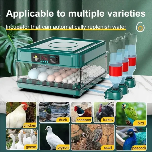 Vollautomatischer Smart Inkubator Intelligente Brutmaschine mit Wasser- und Temperaturkontrolle – Bild 11