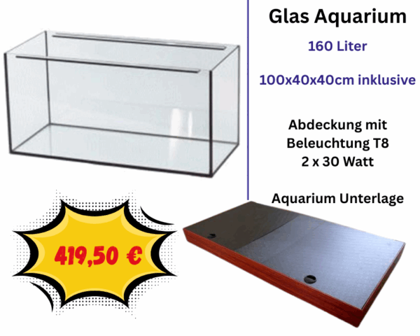 160 Liter Glasaquarium-100x40x40cm inklusive Abdeckung und Unterlage