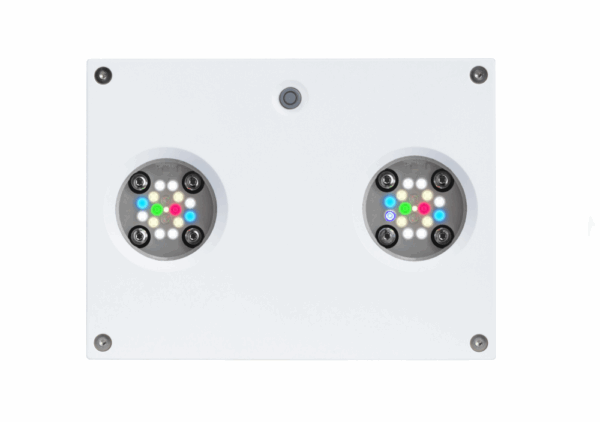 AI Hydra FRESHWATER HD 32 LED weiß – Bild 2
