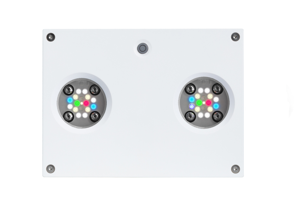 AI Hydra FRESHWATER HD 32 LED weiß