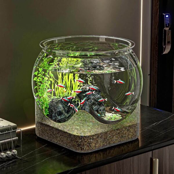 Transparente Runde Fischschale Desktop-Aquarium für 360-Grad-Sicht – Bild 5