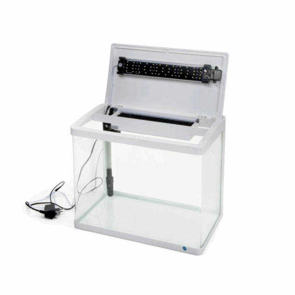 80 L Aquariumset Modernes Glasaquarium in Schwarz mit Dual-LED-Beleuchtung und Filtersystem