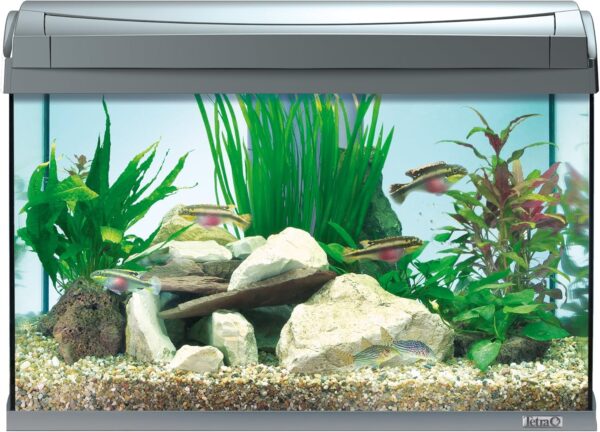 Tetra Glasaquarium 60 Liter-Modernes Komplettset für kristallklares Wasser – Bild 3