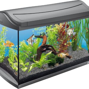 Tetra Aquarium-Set Aqua Art Discovery Line LED 20l-für kleine Garnelen