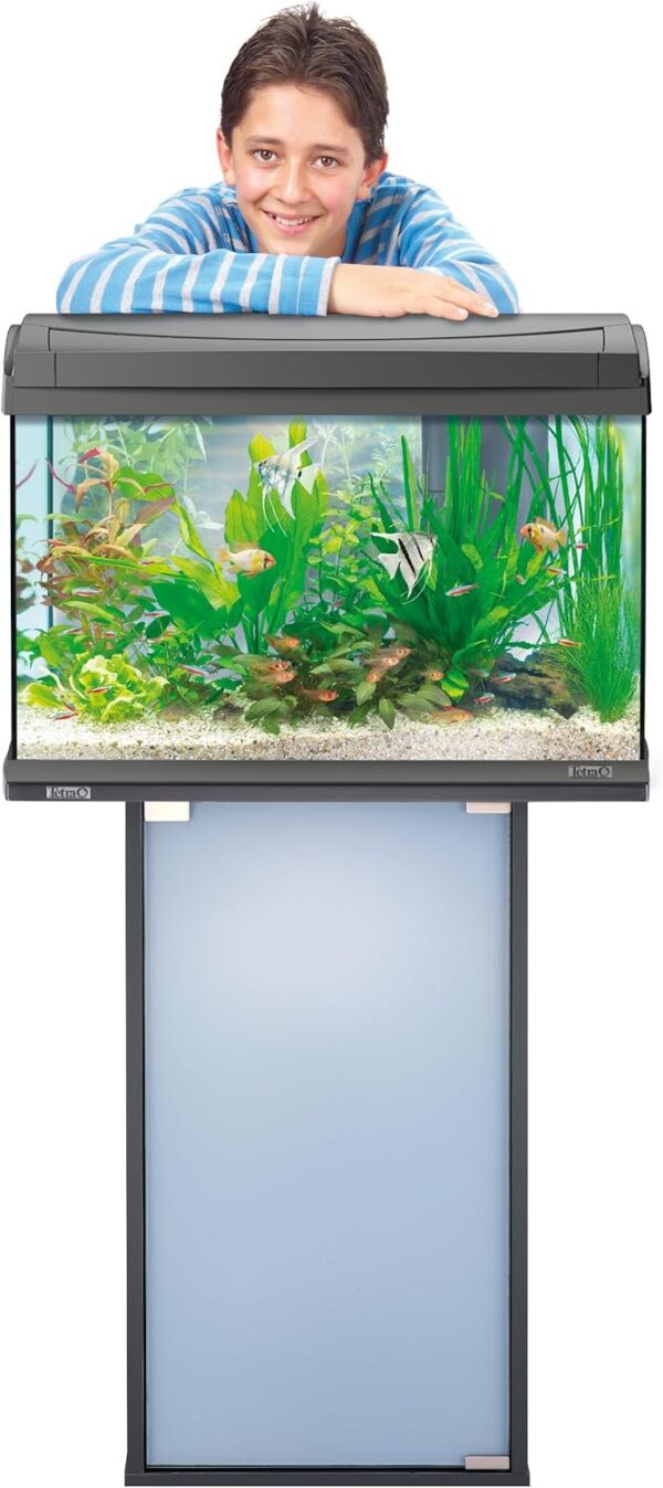 Tetra Glasaquarium 60 Liter-Modernes Komplettset für kristallklares Wasser – Bild 4