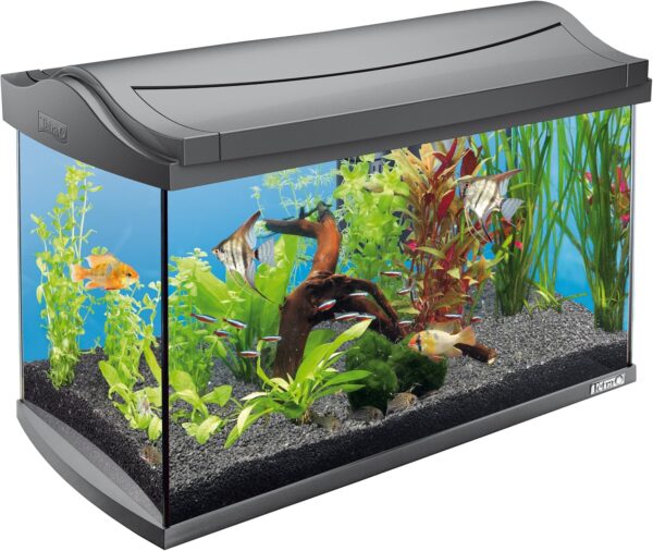 Tetra Glasaquarium 60 Liter-Modernes Komplettset für kristallklares Wasser